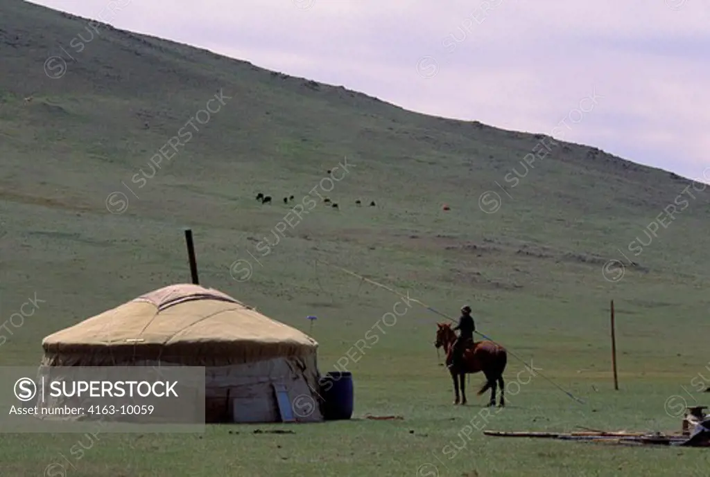 MONGOLIA, NEAR ULAN BATOR, GRASSLAND, YURT, MAN ON HORSE