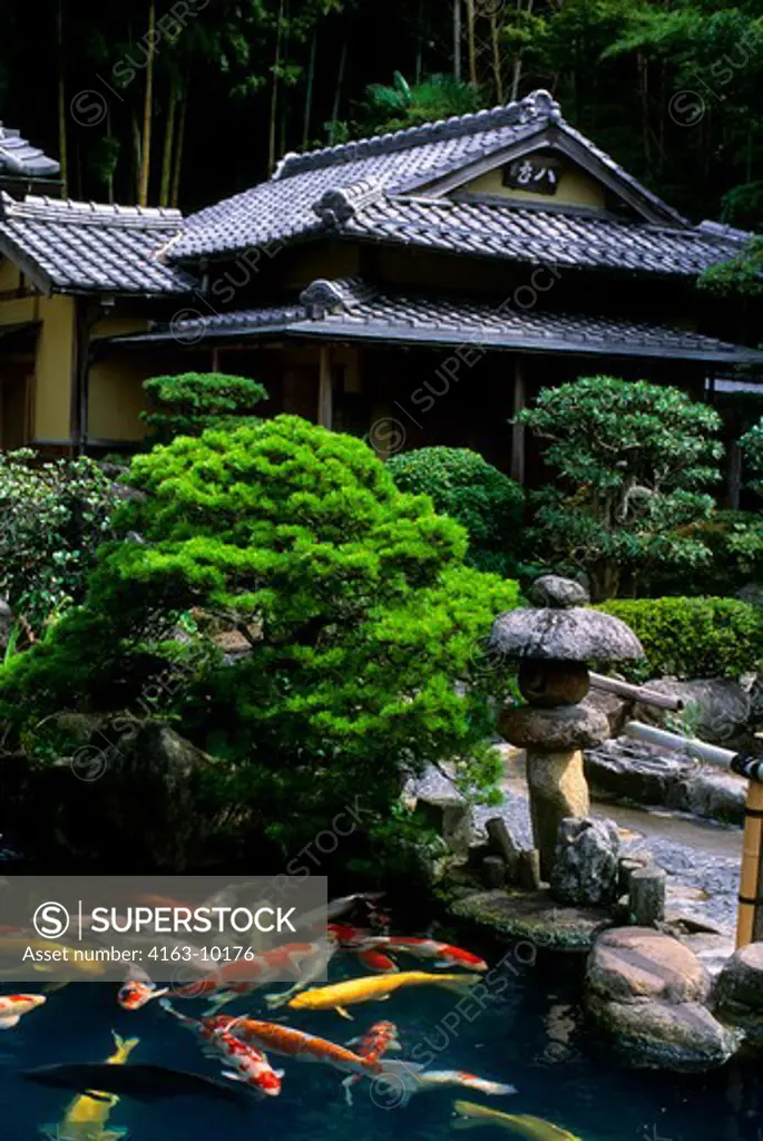 JAPAN, HONSHU ISLAND,MATSUE, OLD TOWN, RESTAURANT WITH JAPANESE GARDEN, POND WITH CARP