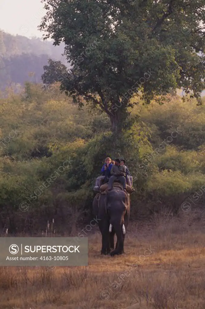 INDIA, BANDHAVGARH NATIONAL PARK, TOURISTS ON ELEPHANT