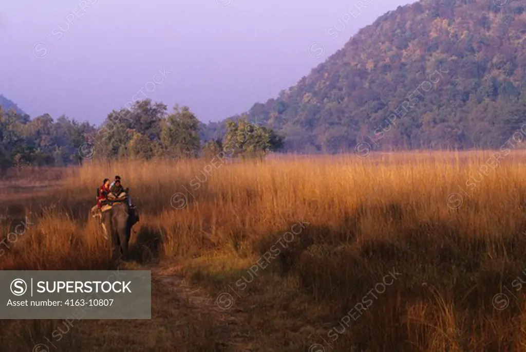 INDIA, BANDHAVGARH NATIONAL PARK, TOURISTS ON ELEPHANT