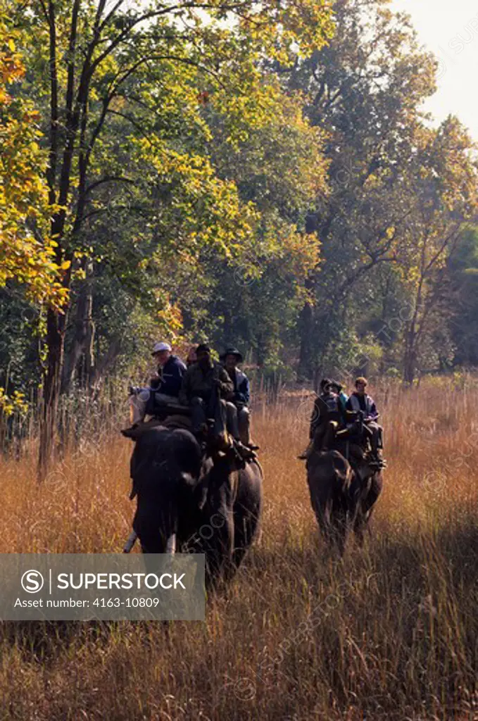 INDIA, BANDHAVGARH NATIONAL PARK, TOURISTS ON ELEPHANTS