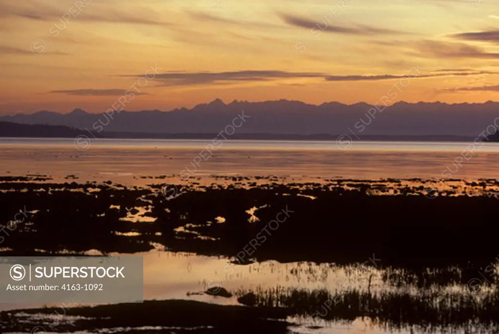 USA, WASHINGTON, SKAGIT RIVER MUD FLATS AT SUNSET WITH OLYMPIC MOUNTAINS IN BACKGROUND