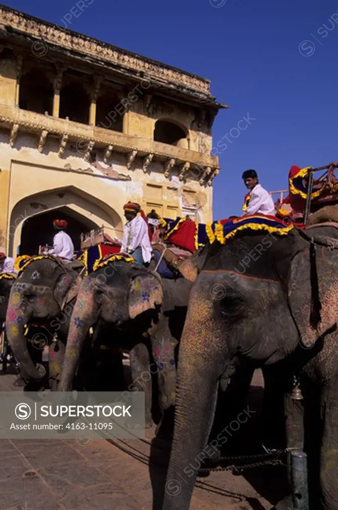 INDIA, RAJASTHAN, JAIPUR, AMBER FORT, ELEPHANTS AND MAHOUTS