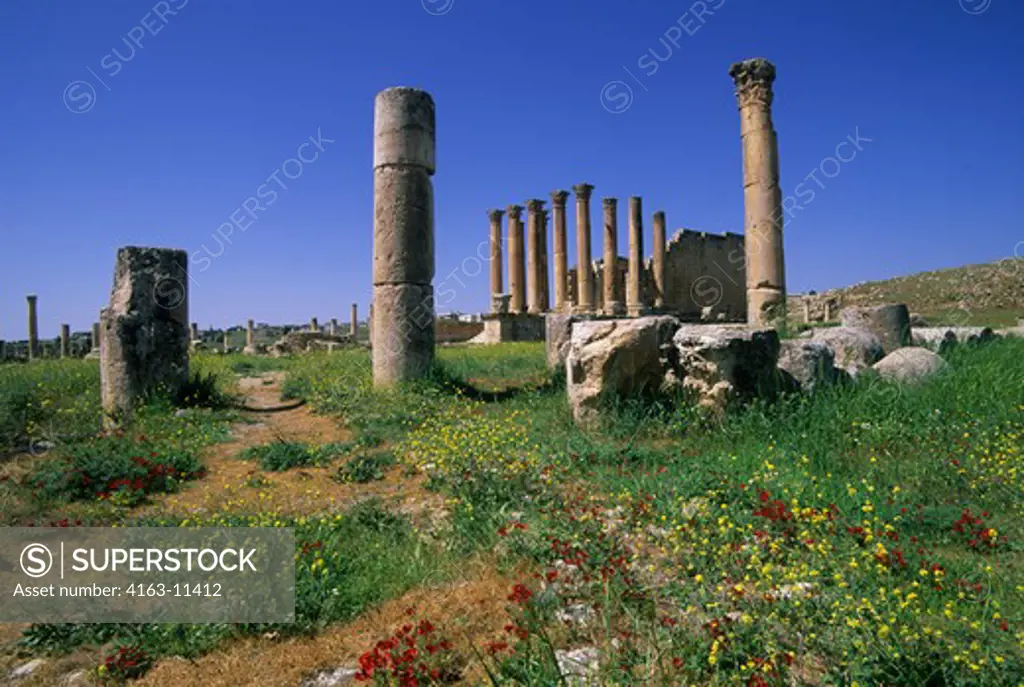 JORDAN, JERASH, ANCIENT ROMAN CITY, TEMPLE OF ARTEMIS, 2ND CENTURY A.D., MUSTARD AND POPPY FLOWERS