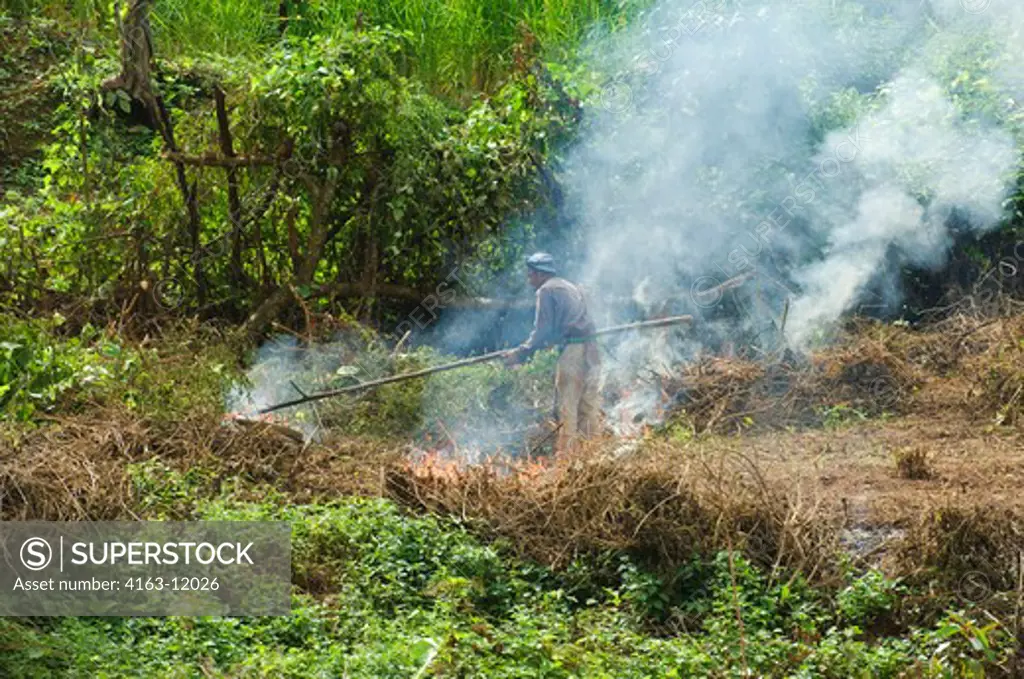 LAOS, NEAR LUANG PRABANG, MEKONG RIVER, FARMERS BURNING FOREST TO CLEAR FOR AGRICULTURE