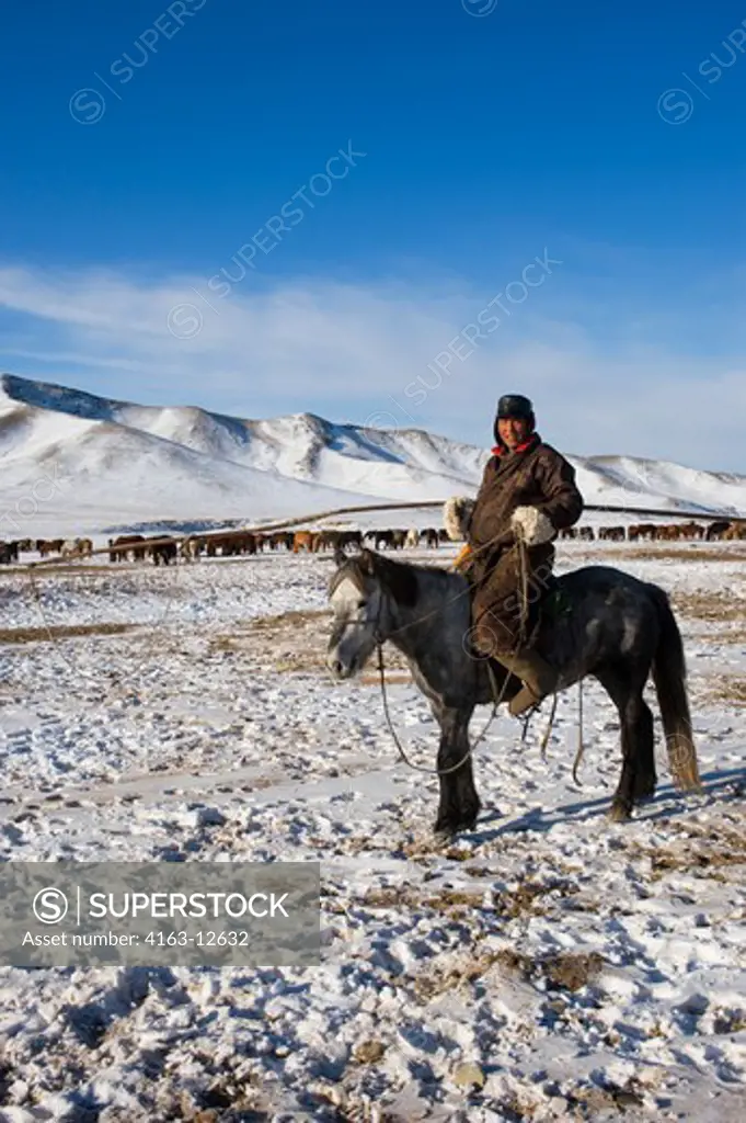 MONGOLIA, NEAR ULAANBAATAR, MONGOL HORSE HERDER IN WINTER