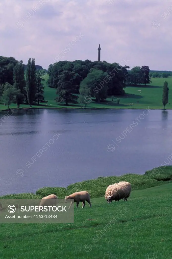 ENGLAND, NEAR OXFORD, BLENHEIM CASTLE, PARK GROUNDS WITH SHEEP
