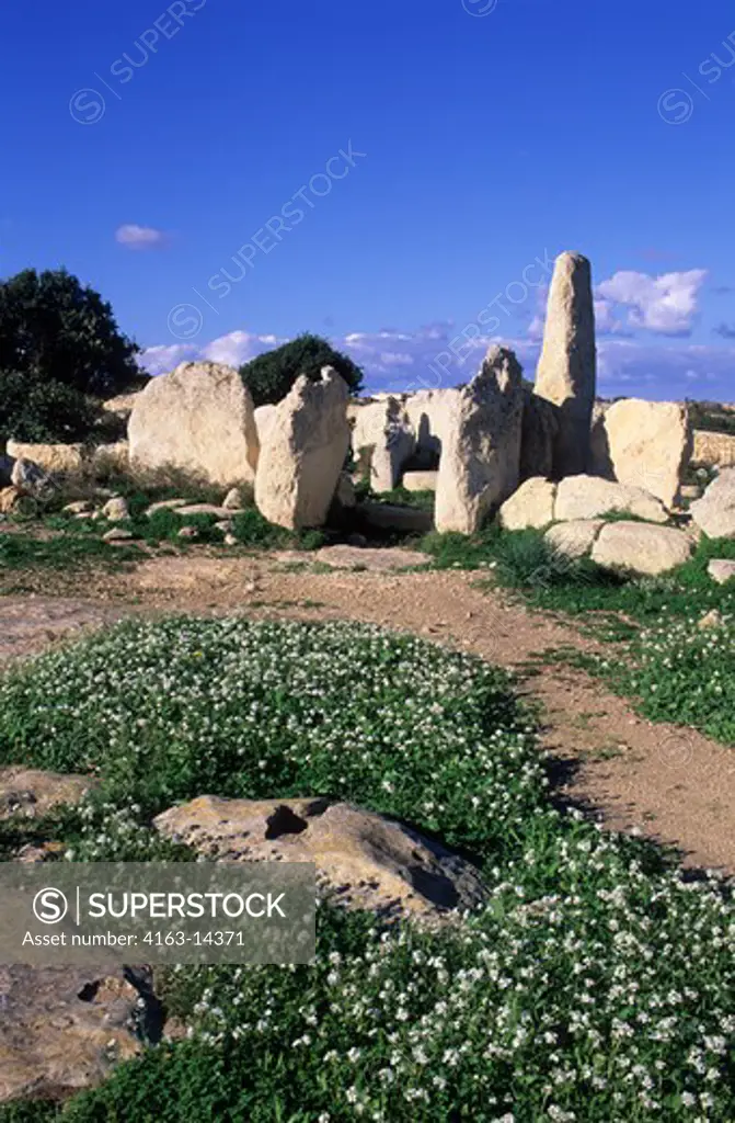 MALTA, HAGAR QIM TEMPLE, 2700 B.C., FLOWERS