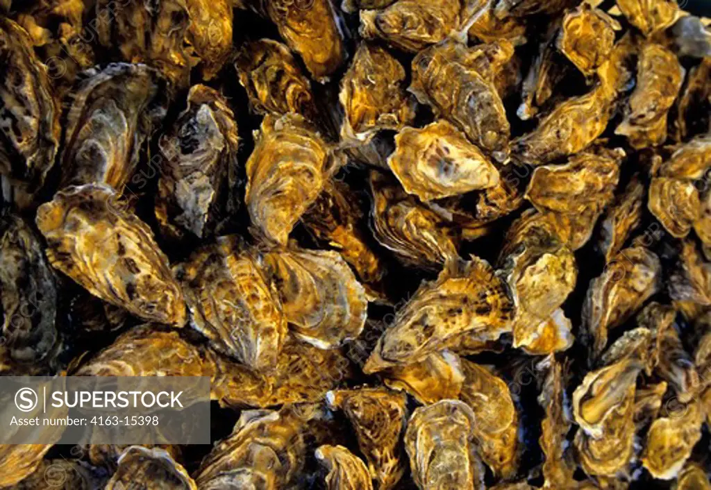 FRANCE, ILE D' AIX, VILLAGE, STREET SCENE, CLOSE-UP OF OYSTERS