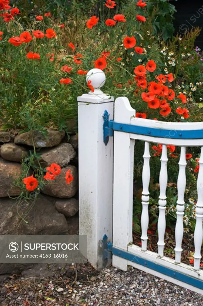 GERMANY, SCHLESWIG HOLSTEIN, NORTH SEA, NORTH FRISIAN ISLANDS, SYLT ISLAND, KEITUM VILLAGE, GATE WITH RED POPPY FLOWERS