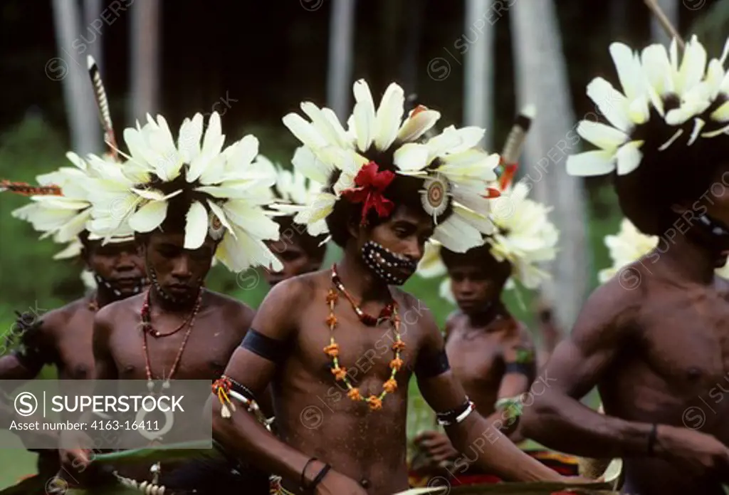 PAPUA NEW GUINEA,TROBRIAND ISLANDS, KIRIWINA ISL., KAIBOLA VILLAGE TRADITIONAL MEN'S DANCES