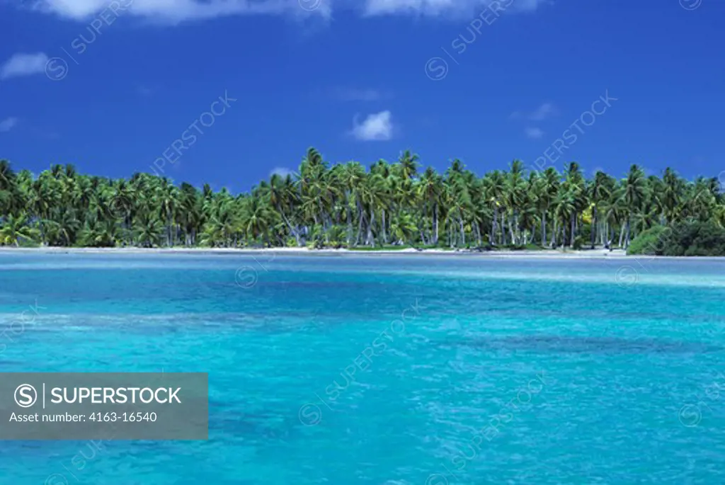 FRENCH POLYNESIA,TUAMOTUS, NAPUKA ISLAND, ATOLL, LAGOON WITH COCONUT PALM TREES