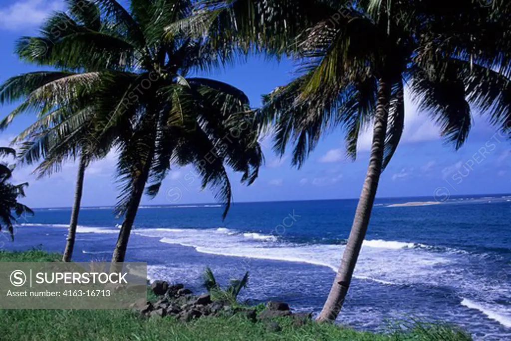WESTERN SAMOA, UPOLU ISLAND, COASTLINE WITH COCONUT PALM TREES