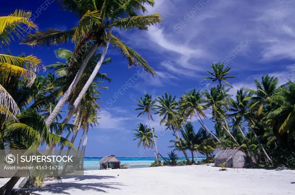 COOK ISLANDS, PALMERSTON ATOLL,TROPICAL ISLAND SCENE WITH THATCHED HUT AND COCONUT PALM TREES
