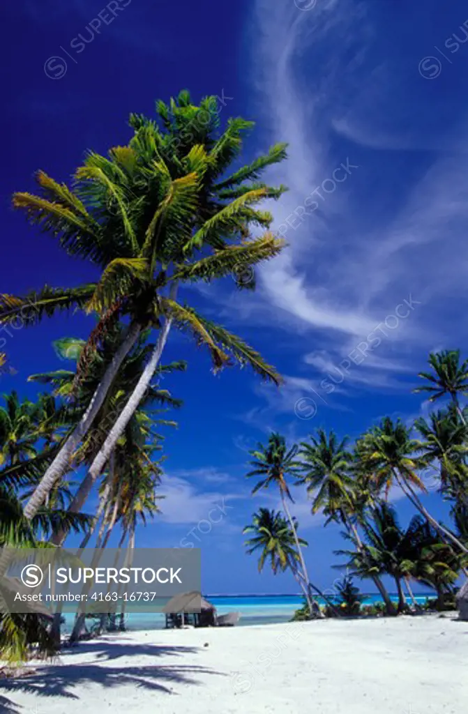 COOK ISLANDS, PALMERSTON ATOLL,TROPICAL ISLAND SCENE WITH THATCHED HUT AND COCONUT PALM TREES