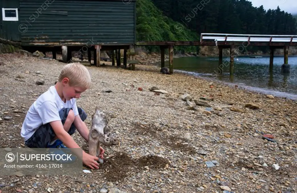NEW ZEALAND, SOUTH ISLAND, MARLBOROUGH SOUNDS, SHAND FAMILY HOMESTAED, BOY PLAYING ON BEACH