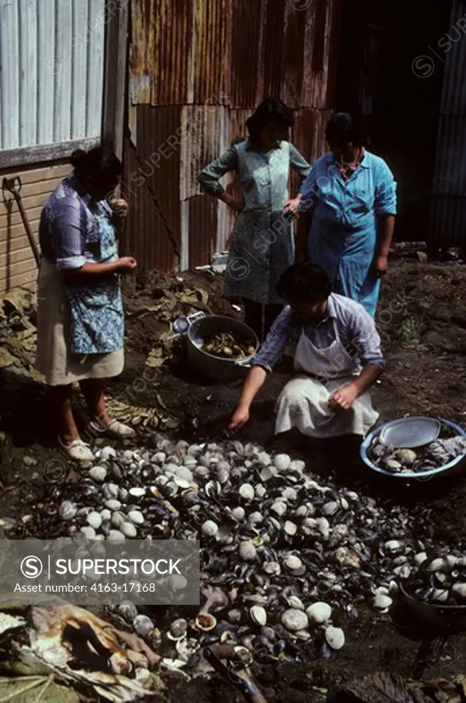SOUTHERN CHILE, CHILOE ISLAND, ANCUD, TRADITIONAL CURANTO CHILOTE FEAST, BAKED IN A COVERED PIT, SEAFOOD WITH CLAMS AND MUSSELS