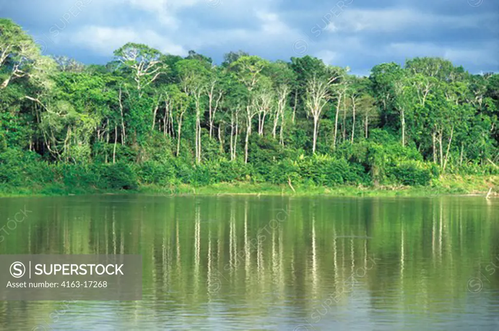 AMAZON RIVER, RAIN FOREST TREES REFLECTING IN RIVER