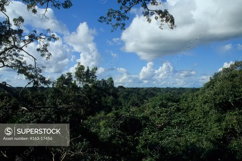 ECUADOR, AMAZON BASIN, NEAR COCA, RAIN FOREST, VIEW OVER TREE TOPS