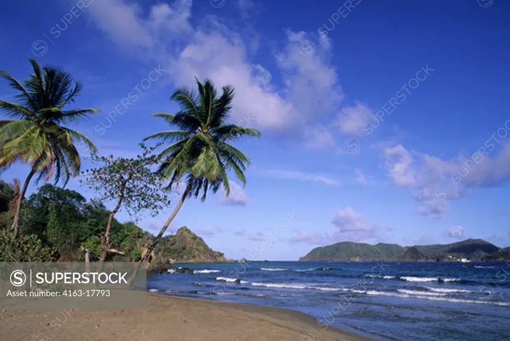 TOBAGO, SPEYSIDE, BEACH, COCONUT PALM TREES