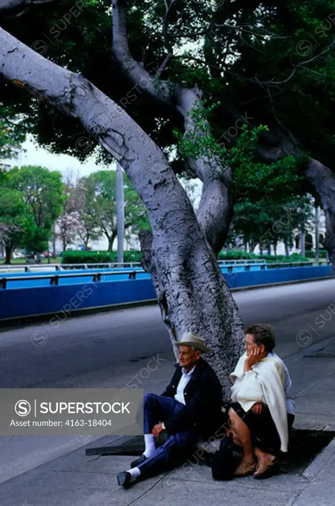 CUBA, OLD HAVANA, STREET SCENE WITH OLD COUPLE SITTING UNDER TREE