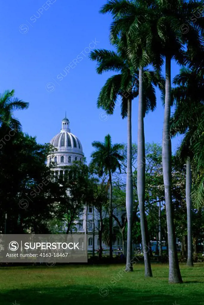 CUBA, HAVANA, PARK WITH CAPITOL BUILDING, ROYAL PALM TREES