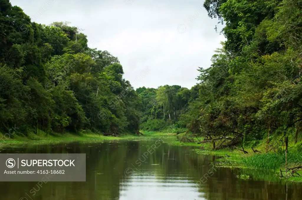 PERU, AMAZON BASIN, UCAYALI RIVER, PACAYA-SAMIRIA NATIONAL RESERVE, SMALL RIVER, RAINFOREST