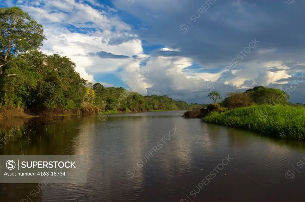 PERU, AMAZON RIVER, NEAR IQUITOS, SMALL TRIBUTARY, RAINFOREST