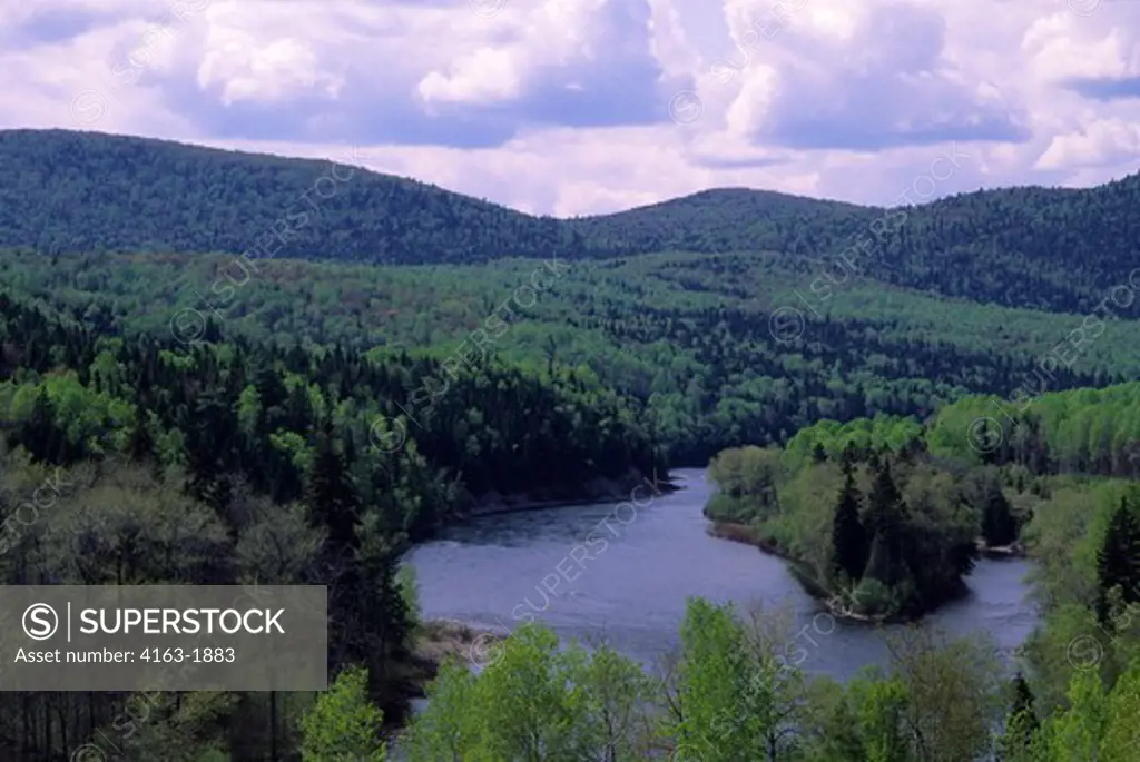 CANADA, QUEBEC, GASPE, NEAR CAUSAPSCAL, VIEW OF MATAPEDIA RIVER AND FOREST