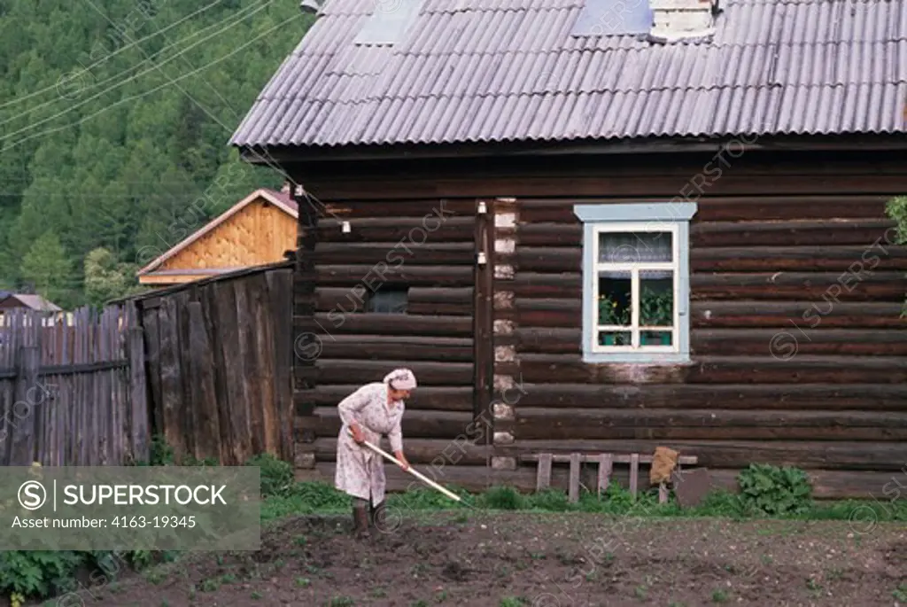 RUSSIA, SIBERIA, LAKE BAIKAL, LISTWJANKA, WOMAN WORKING IN VEGETABLE GARDEN