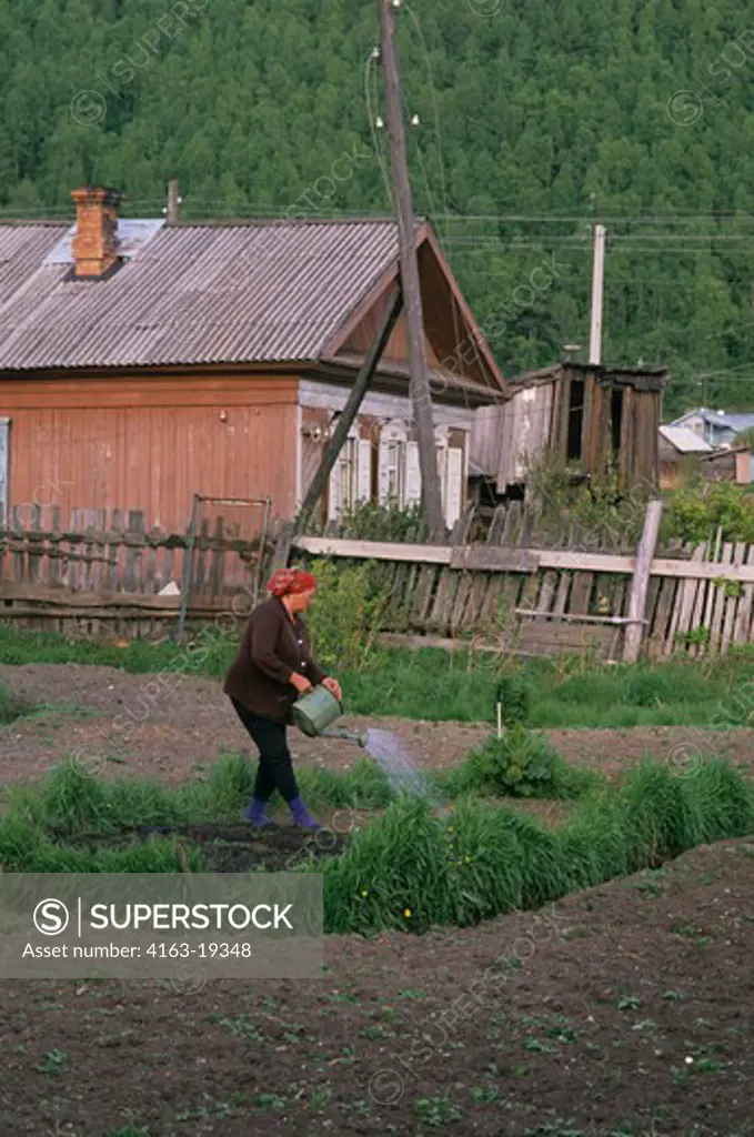 RUSSIA, SIBERIA, LAKE BAIKAL, LISTWJANKA, WOMAN WATERING VEGETABLE GARDEN