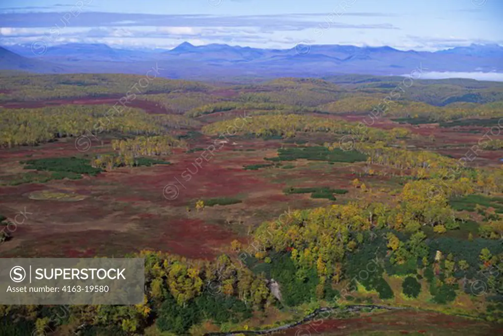 RUSSIA, KAMCHATKA, VIEW OF FOREST AND TUNDRA BETWEEN AVACHA AND ZHUPANOVSKY VOLCANOES