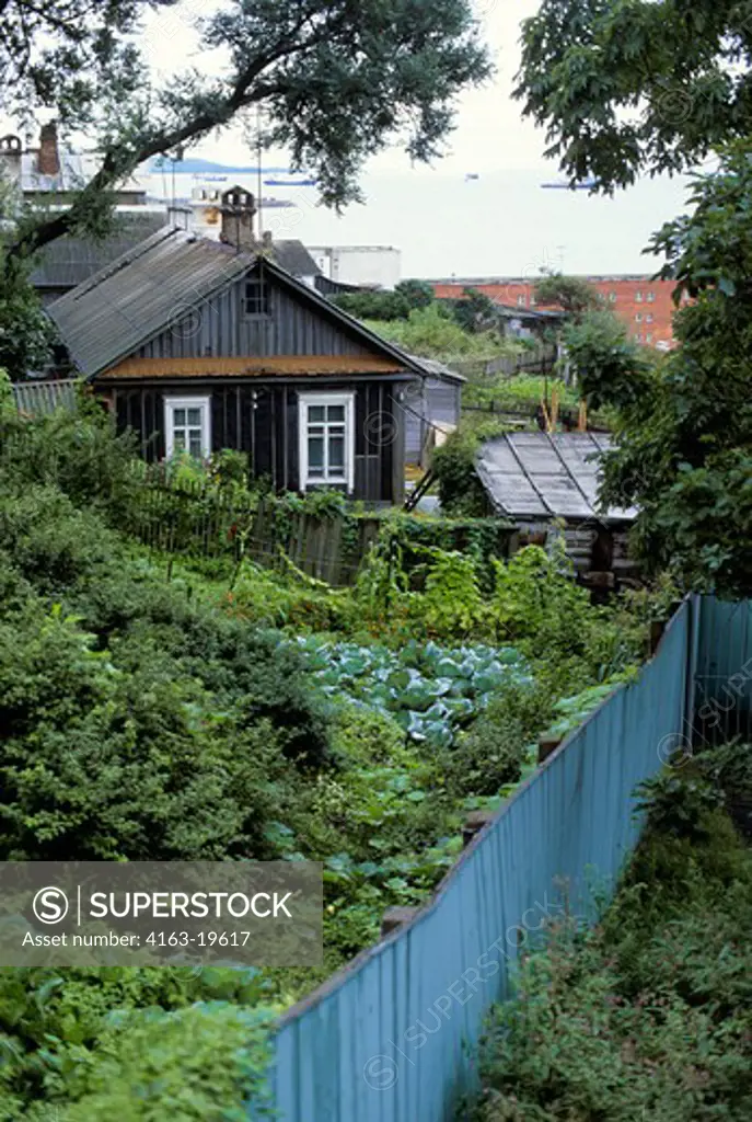 RUSSIA, VLADIVOSTOK, HOUSE WITH VEGETABLE GARDEN