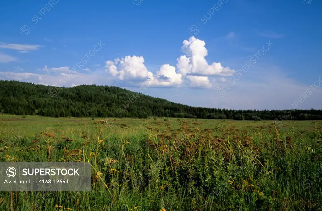 RUSSIA, SIBERIA, YENISEY RIVER, LEBED, NATURE PRESERVE, MEADOW