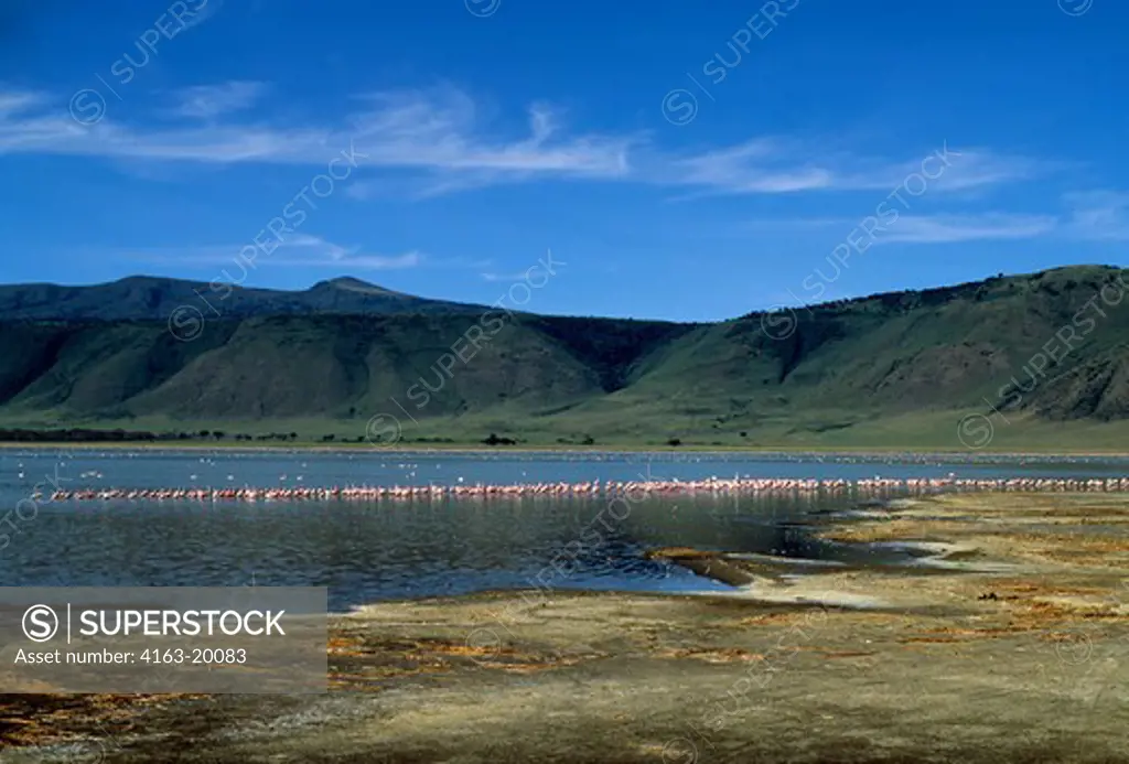 Tanzania, Ngorongoro Crater, Flamingos