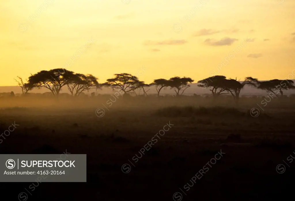 Kenya, Amboseli, Sunrise, Acacia Trees