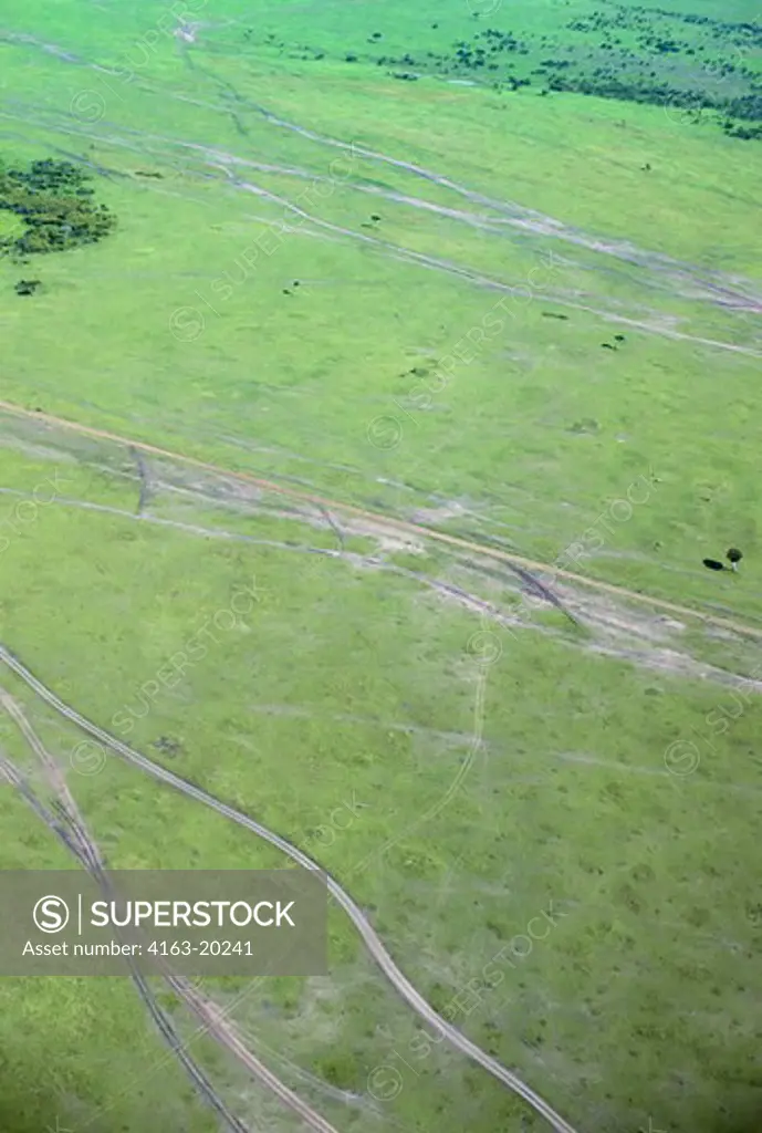 Kenya, Masai Mara, Aerial View Of Plain With Vehicle Tracks