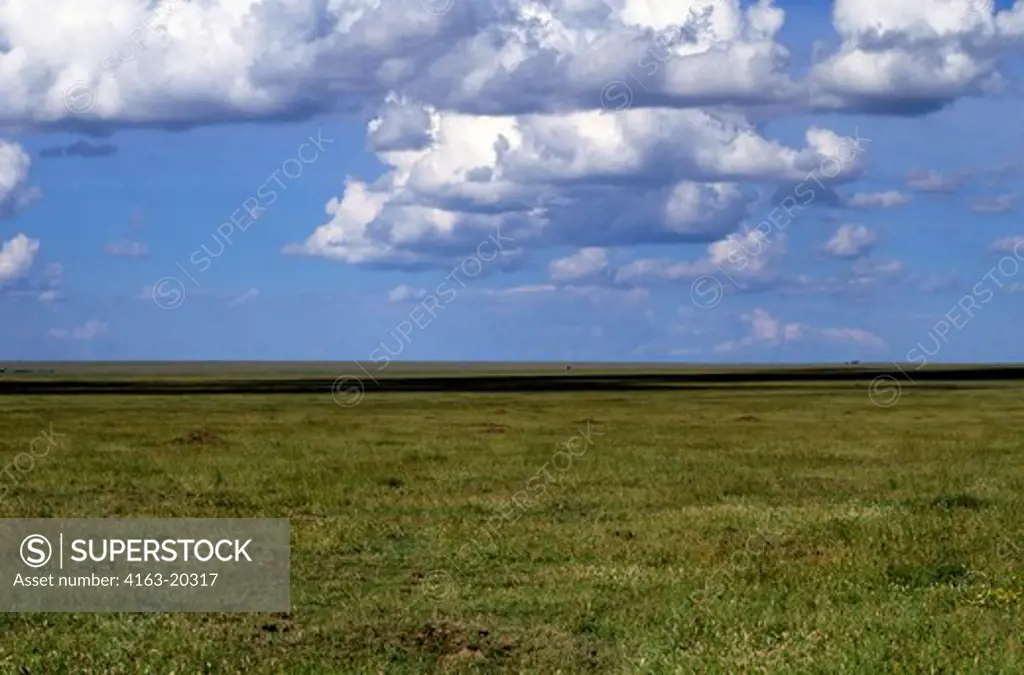 Tanzania, Serengeti, Grass Plain