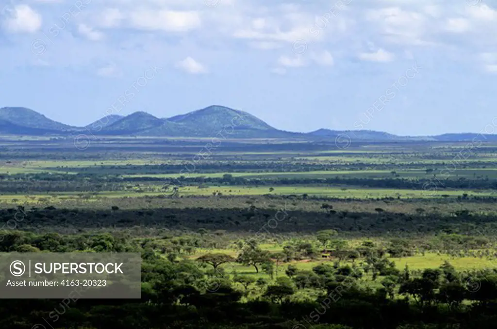 Tanzania, Serengeti, Bushland
