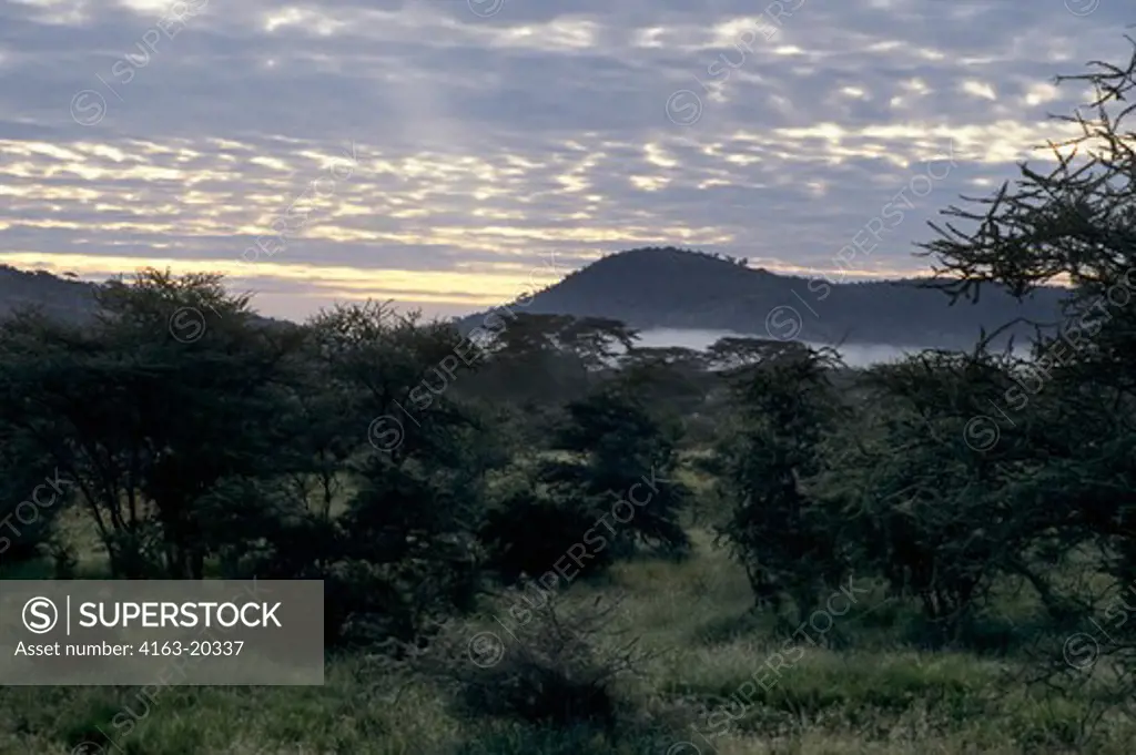 Tanzania, Serengeti, Morning Mist