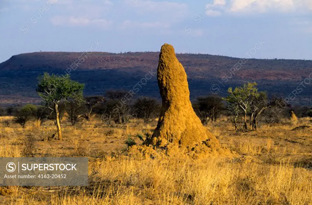 Namibia, Okonjima, Termite Hill