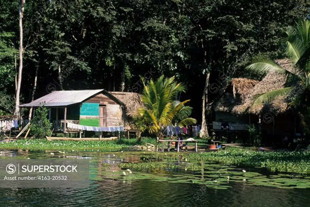 Guatemala, Rio Dulce, Rain Forest, Huts On Stilts, Water Lilies