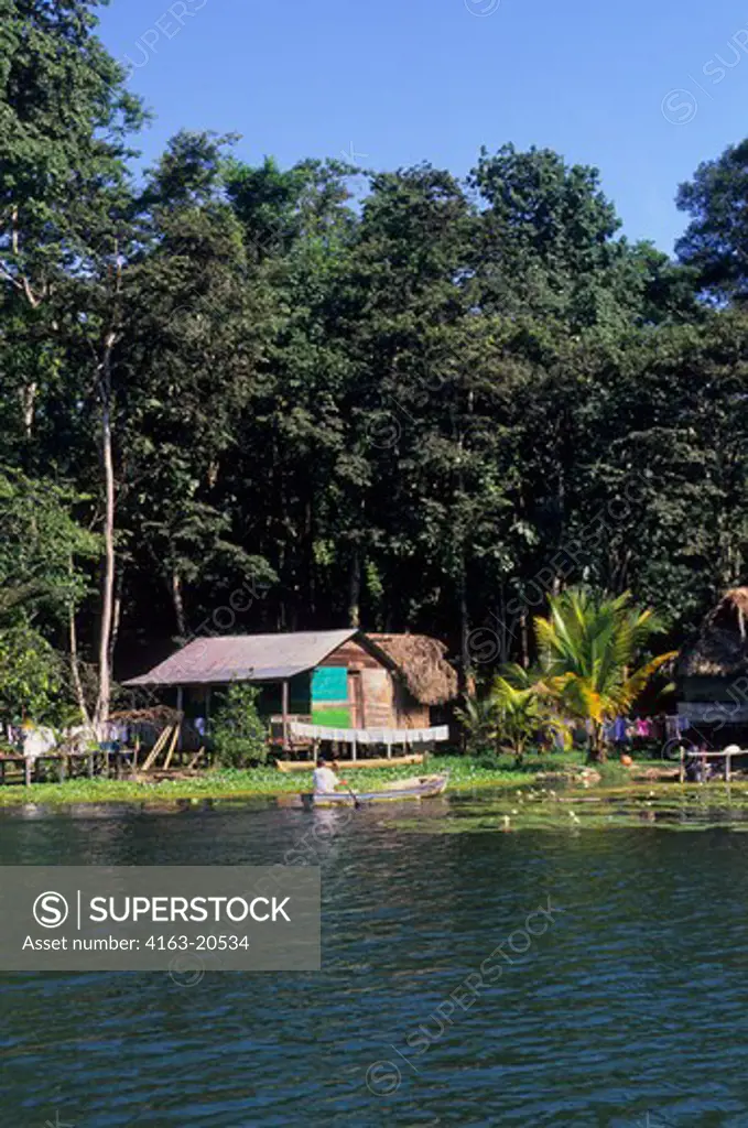 Guatemala, Rio Dulce, Rain Forest, Huts Onstilts, Water Lilies
