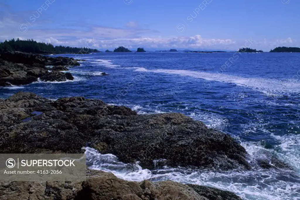 CANADA, BRITISH COLUMBIA, VANCOUVER ISLAND,  UCLUELET, LANDSCAPE AT AMPHITRITE POINT AT LOW TIDE