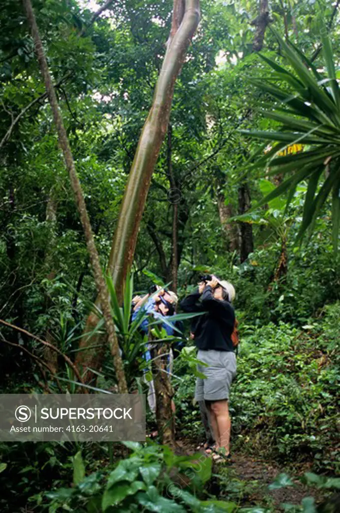 Honduras, Roatan Island, Botanical Garden, Tourists Birdwatching