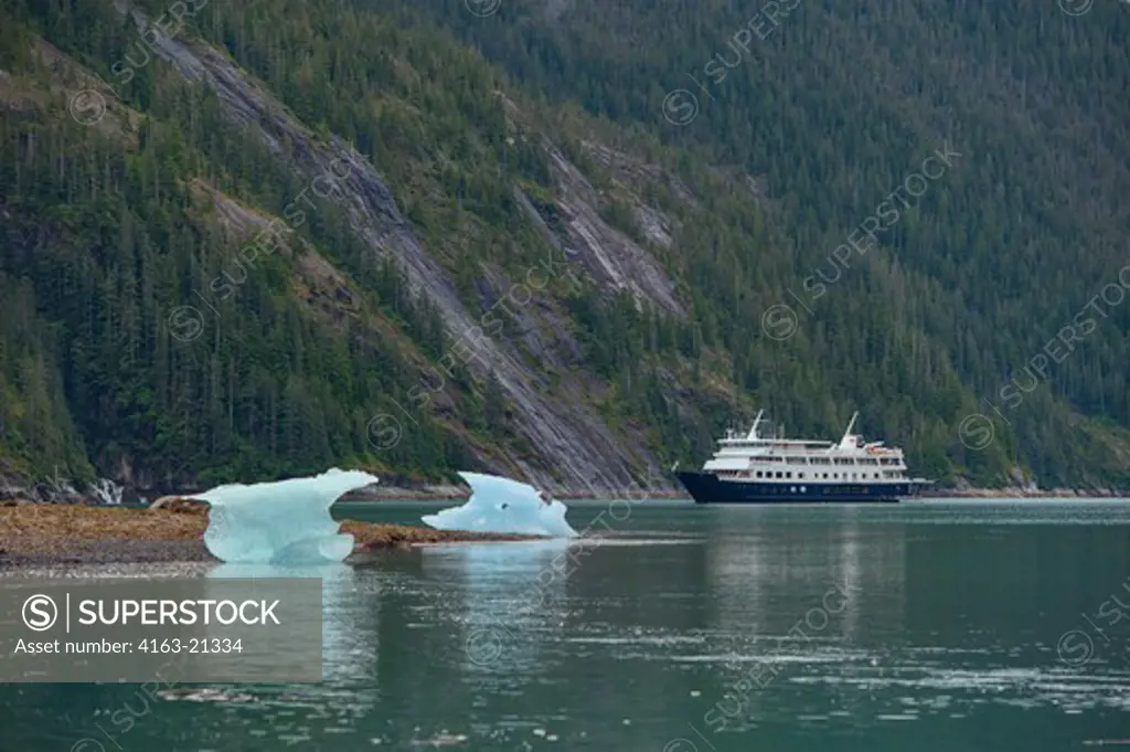 View of cruise ship Safari Endeavour at anchor at Fords Terror, Endicott Arm, Tongass National Forest, Alaska, USA with small icebergs in foreground