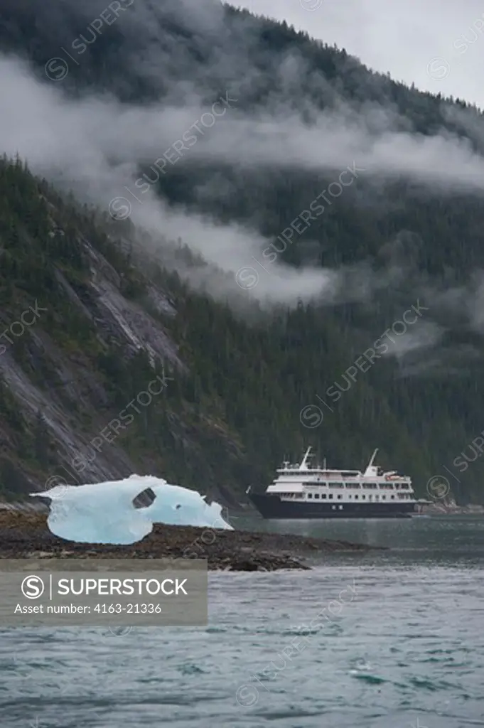 View of cruise ship Safari Endeavour at anchor at Fords Terror, Endicott Arm, Tongass National Forest, Alaska, USA with small icebergs in foreground