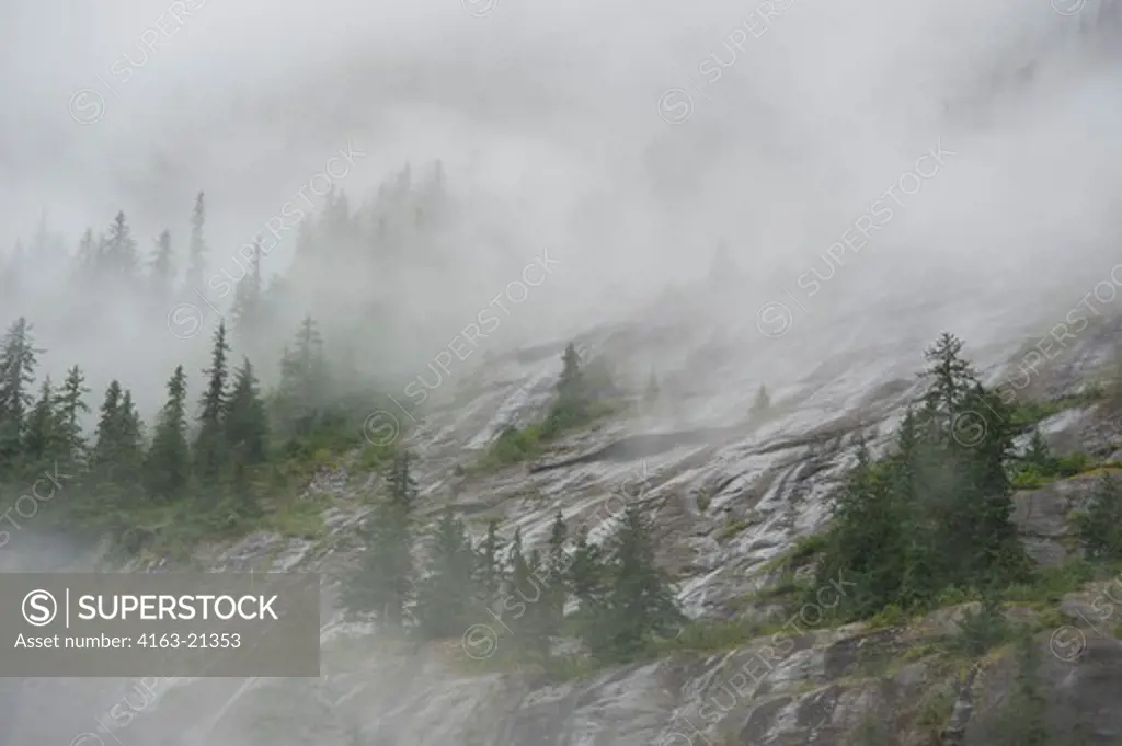 Fog rising out of forest after rain at Fords Terror, Endicott Arm, Tongass National Forest, Alaska, USA