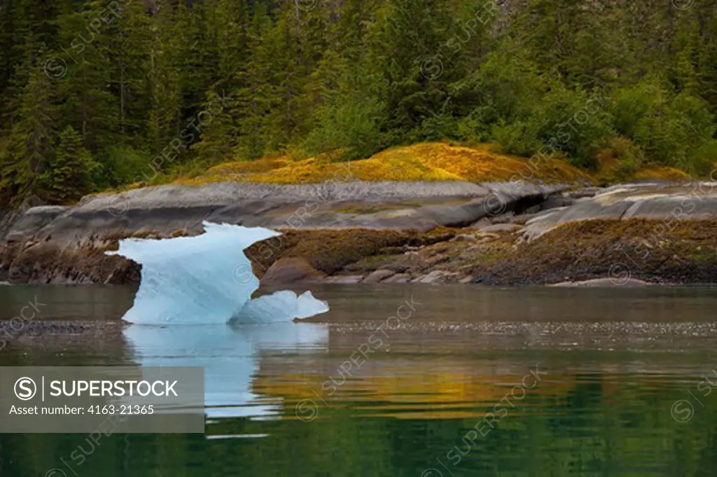 Small iceberg stranded on land during low tide at Fords Terror, Endicott Arm, Tongass National Forest, Alaska, USA