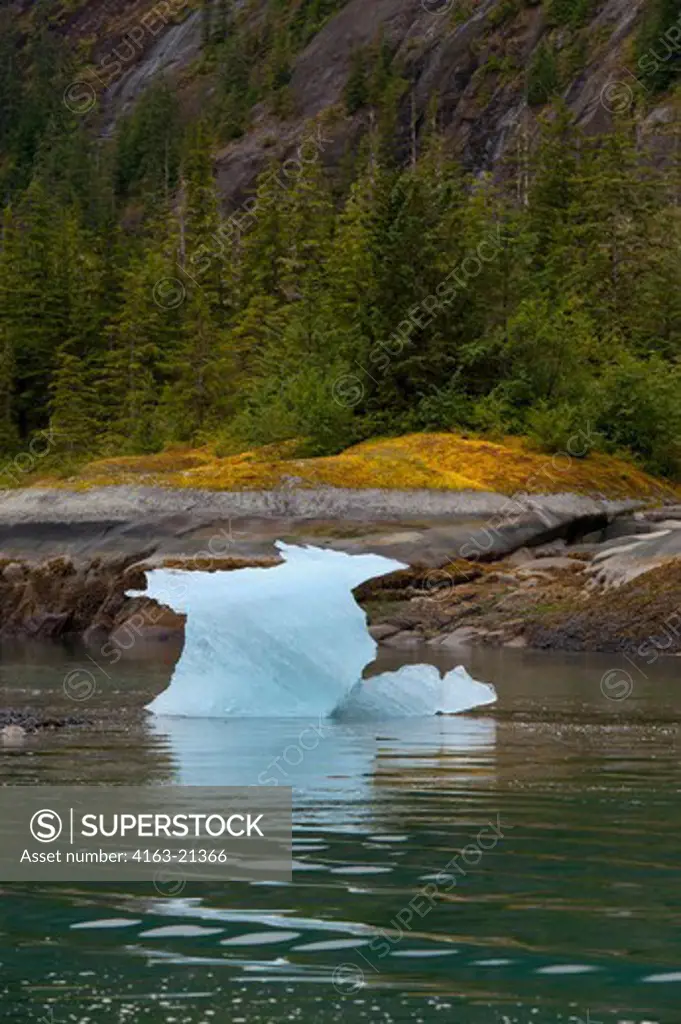 Small iceberg at Fords Terror, Endicott Arm, Tongass National Forest, Alaska, USA